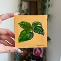 Mini Painting- Basil
