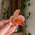 Banana Painting Sticker