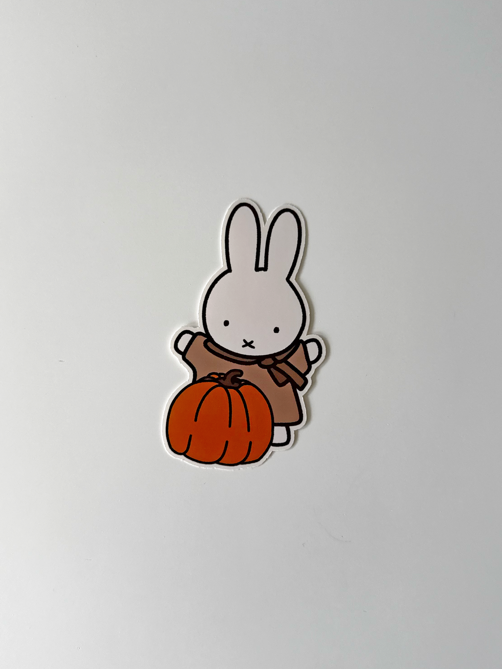 Miffy Pumpkin image 0