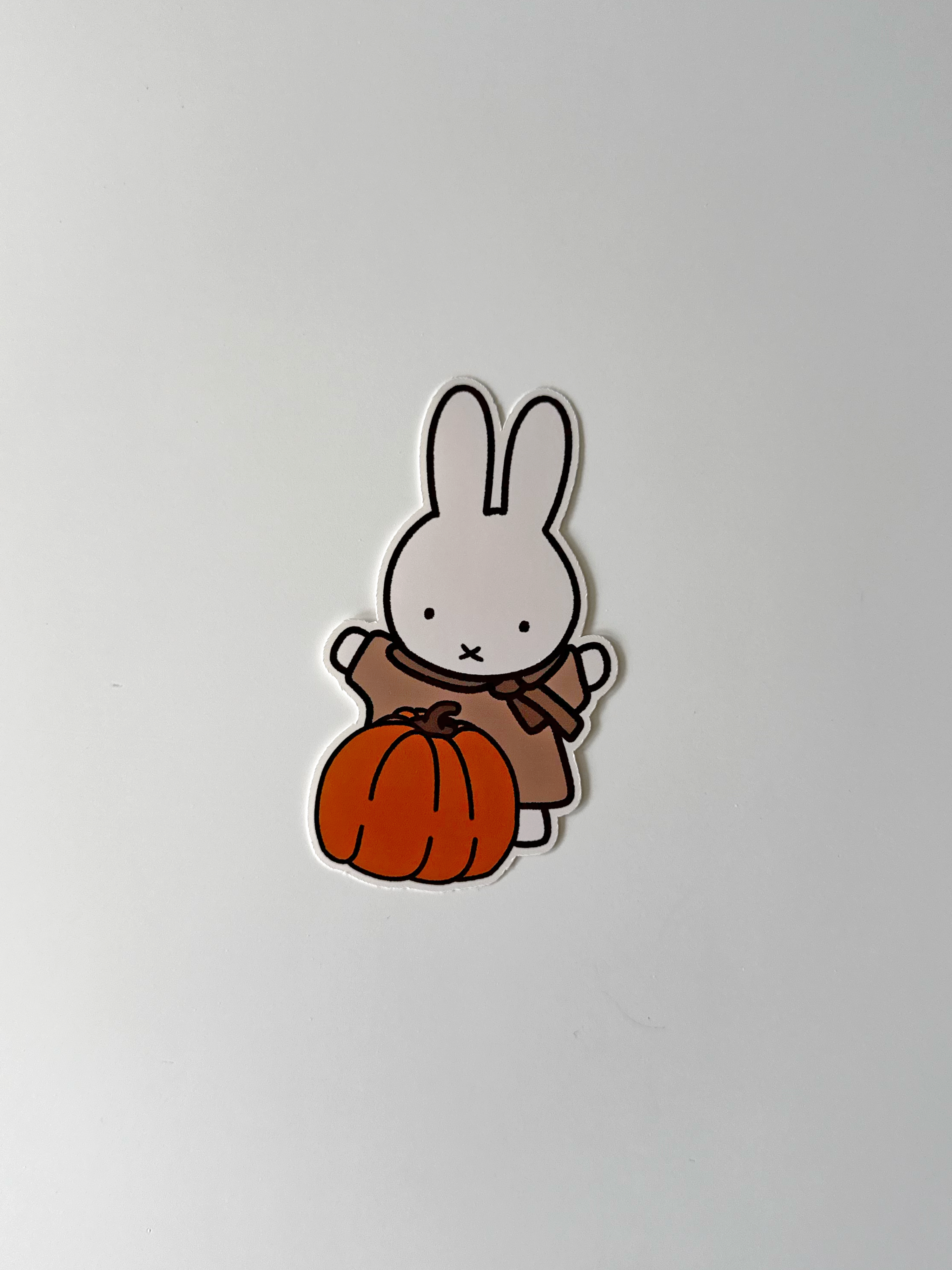 Miffy Pumpkin image 0